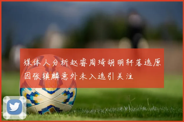 媒体人分析赵睿周琦胡明轩落选原因张镇麟意外未入选引关注